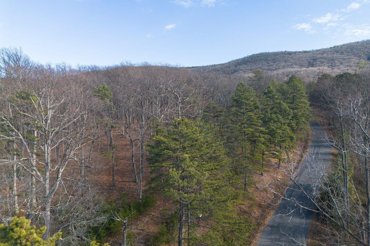 0 FLEMING PARK RD, MOUNT JACKSON, Virginia 22842, ,Land,0 FLEMING PARK RD,672707 MLS # 672707