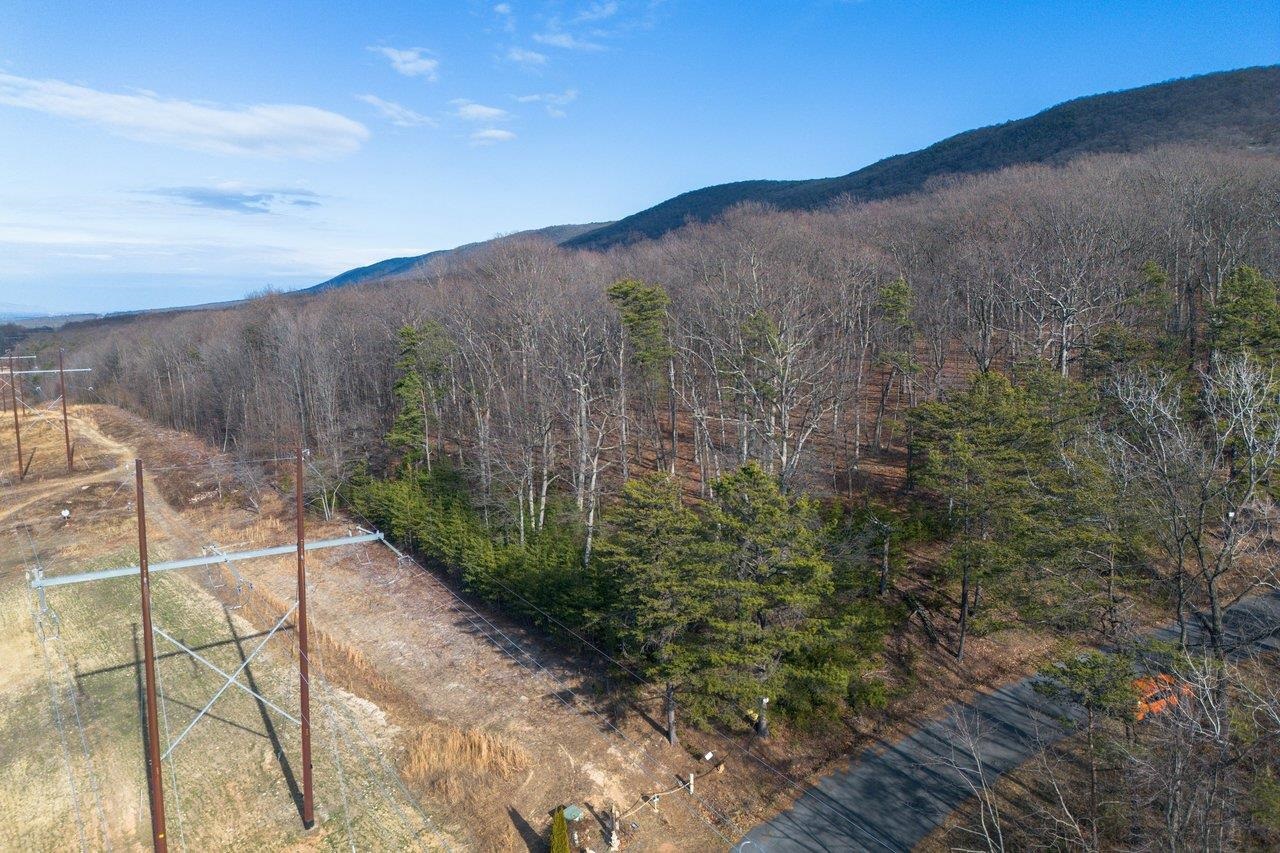 0 FLEMING PARK RD, MOUNT JACKSON, Virginia 22842, ,Land,0 FLEMING PARK RD,672707 MLS # 672707