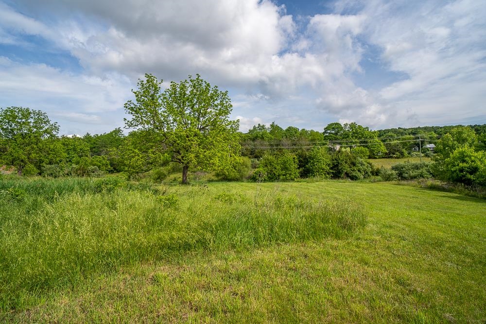 3010 WOODBERRY CIR, ROCKINGHAM, Virginia 22801, ,Land,3010 WOODBERRY CIR,672709 MLS # 672709 3010 WOODBERRY CIR, ROCKINGHAM, Virginia 22801, ,Land,3010 WOODBERRY CIR,672709 MLS # 672709