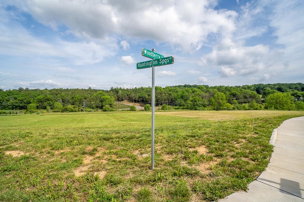 3010 WOODBERRY CIR, ROCKINGHAM, Virginia 22801, ,Land,3010 WOODBERRY CIR,672709 MLS # 672709 3010 WOODBERRY CIR, ROCKINGHAM, Virginia 22801, ,Land,3010 WOODBERRY CIR,672709 MLS # 672709