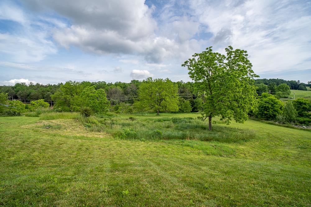 3010 WOODBERRY CIR, ROCKINGHAM, Virginia 22801, ,Land,3010 WOODBERRY CIR,672709 MLS # 672709 3010 WOODBERRY CIR, ROCKINGHAM, Virginia 22801, ,Land,3010 WOODBERRY CIR,672709 MLS # 672709