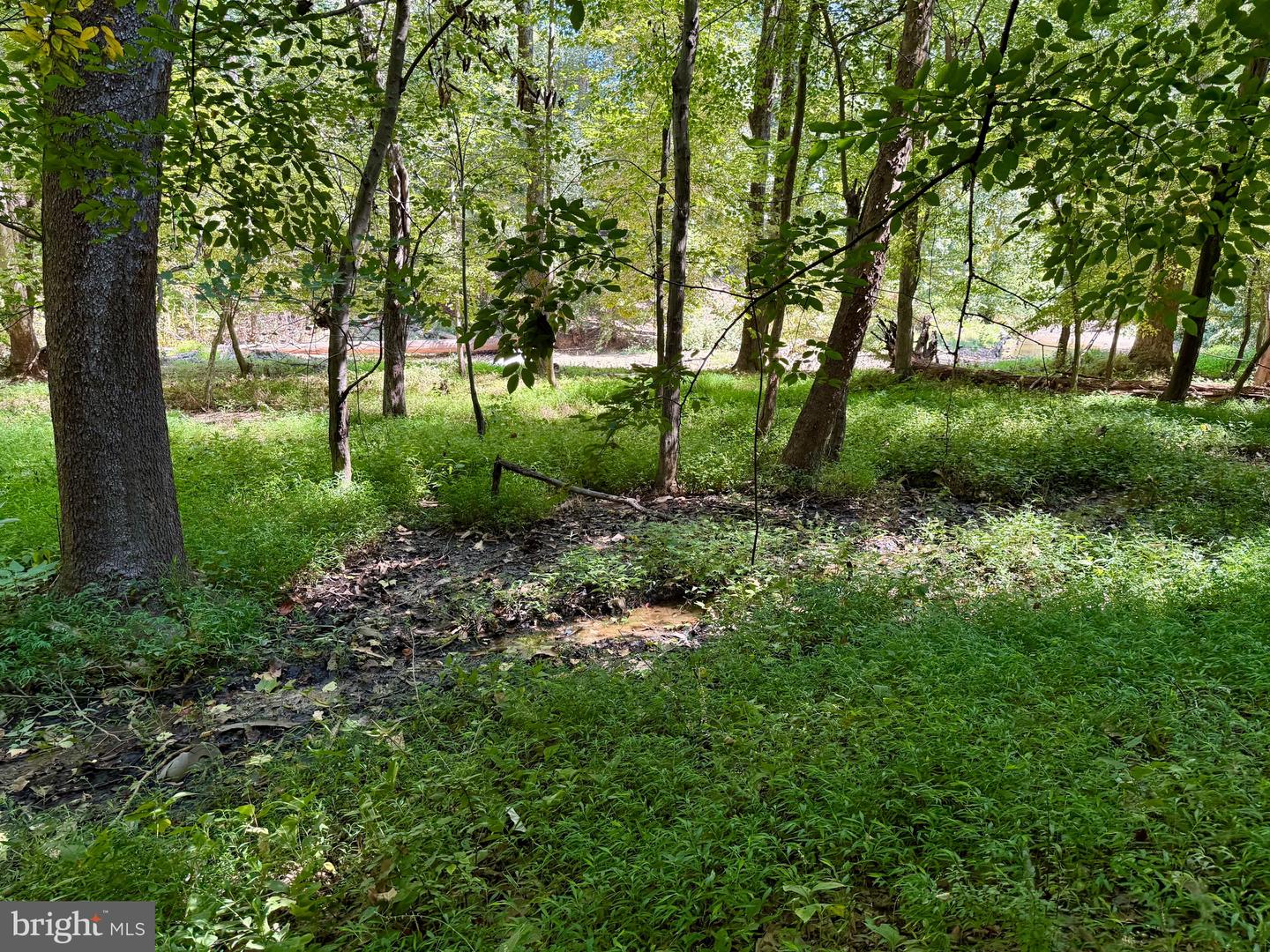 1003 GELSTON CIR, MCLEAN, Virginia 22102, ,1 BathroomBathrooms,Residential,For sale,1003 GELSTON CIR,VAFX2265136 MLS # VAFX2265136