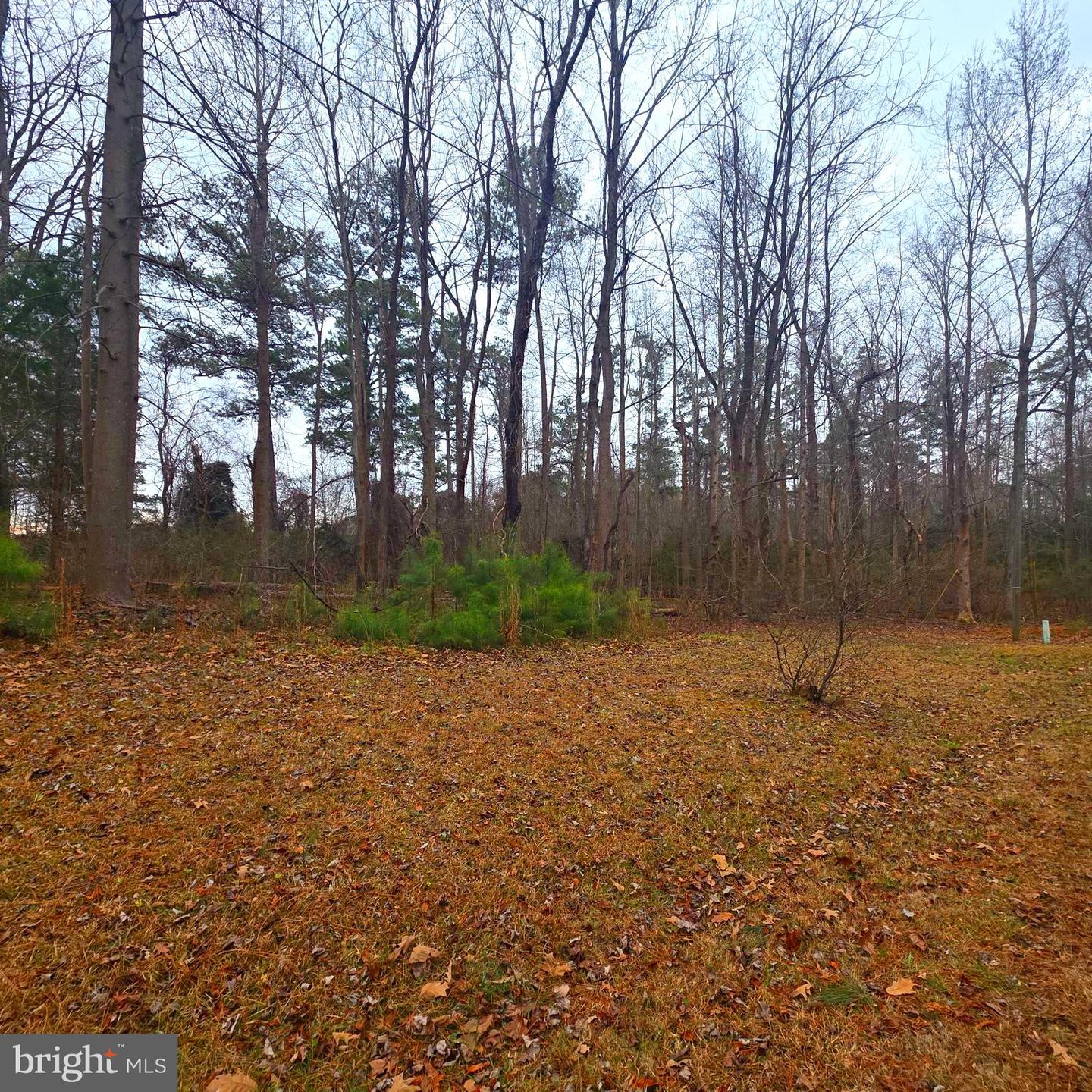 W HIGHVIEW DR LOT 133, LANCASTER, Virginia 22503, ,Land,For sale,W HIGHVIEW DR LOT 133,VALV2000932 MLS # VALV2000932 W HIGHVIEW DR LOT 133, LANCASTER, Virginia 22503, ,Land,For sale,W HIGHVIEW DR LOT 133,VALV2000932 MLS # VALV2000932
