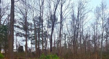 W HIGHVIEW DR LOT 133, LANCASTER, Virginia 22503, ,Land,For sale,W HIGHVIEW DR LOT 133,VALV2000932 MLS # VALV2000932