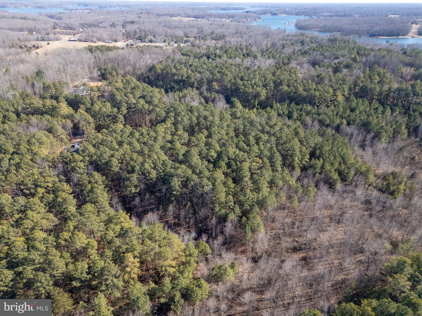 OLD FOX CT, MINERAL, Virginia 23117, ,Land,For sale,OLD FOX CT,VALA2009168 MLS # VALA2009168