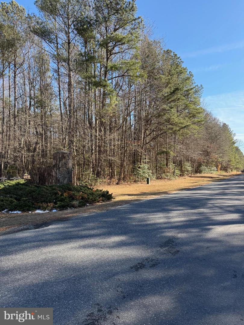 33 STEAMBOAT LN, HEATHSVILLE, Virginia 22473, ,Land,For sale,33 STEAMBOAT LN,VANV2001872 MLS # VANV2001872