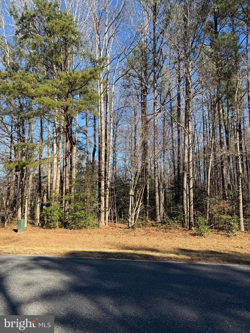 33 STEAMBOAT LN, HEATHSVILLE, Virginia 22473, ,Land,For sale,33 STEAMBOAT LN,VANV2001872 MLS # VANV2001872