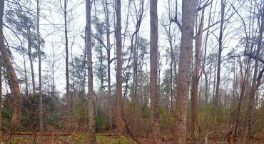 W HIGHVIEW DR LOT 134, LANCASTER, Virginia 22503, ,Land,For sale,W HIGHVIEW DR LOT 134,VALV2000944 MLS # VALV2000944