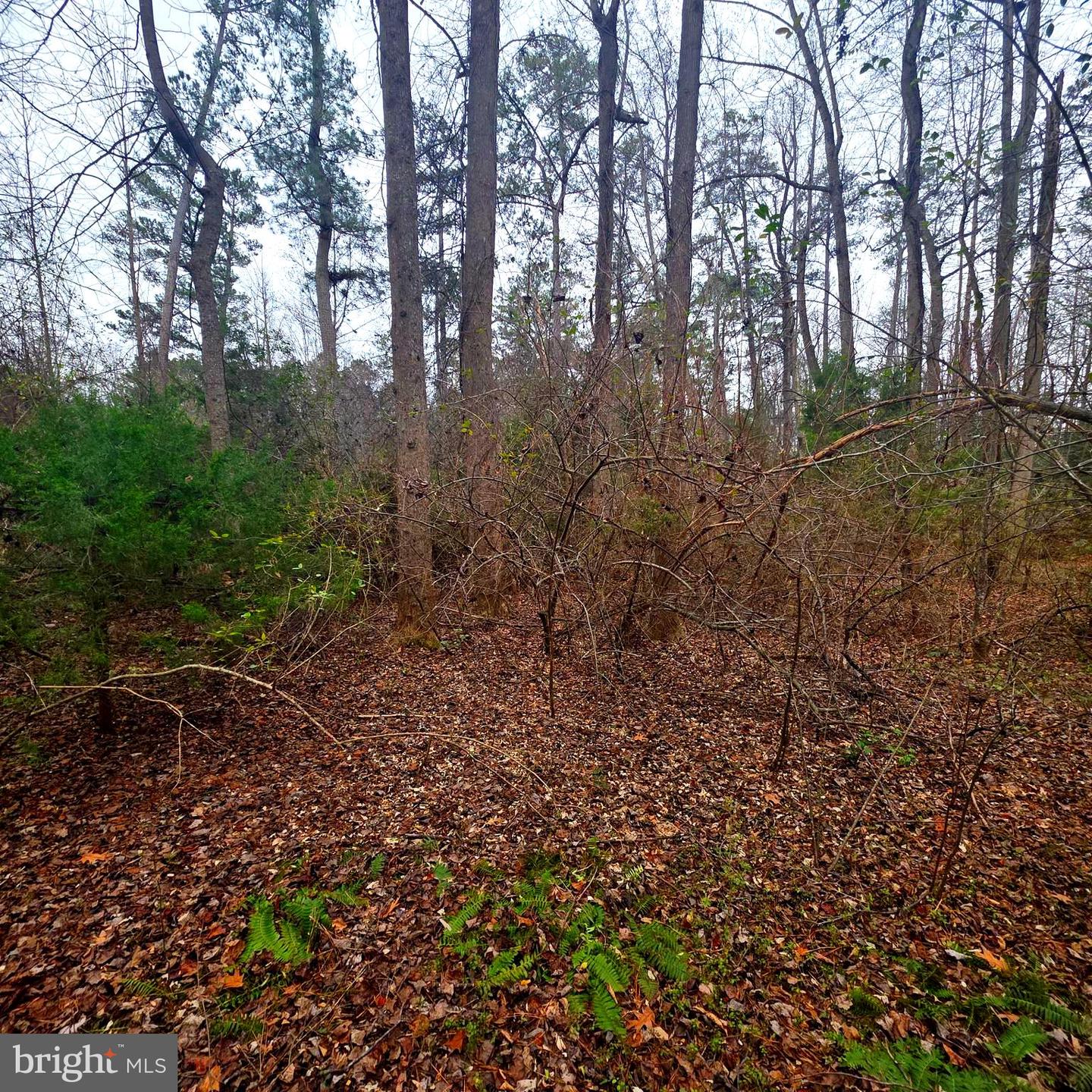 W HIGHVIEW DR LOT 135, LANCASTER, Virginia 22503, ,Land,For sale,W HIGHVIEW DR LOT 135,VALV2000946 MLS # VALV2000946 W HIGHVIEW DR LOT 135, LANCASTER, Virginia 22503, ,Land,For sale,W HIGHVIEW DR LOT 135,VALV2000946 MLS # VALV2000946