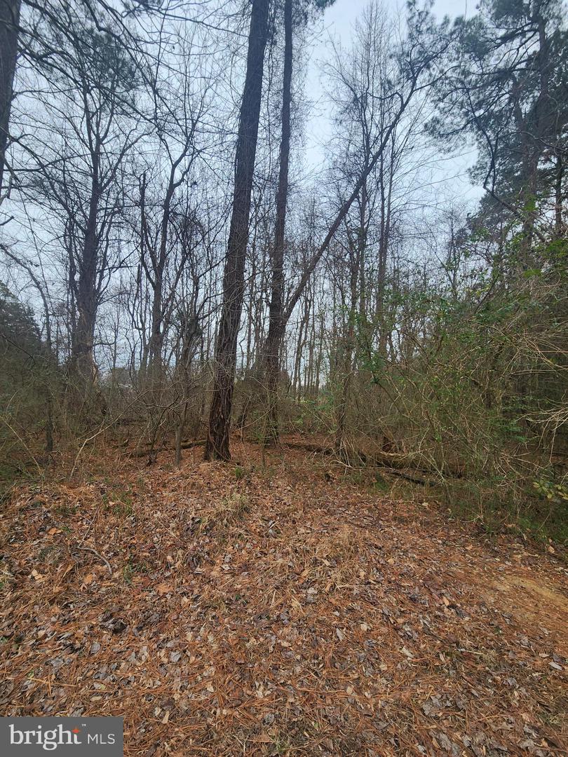 LANDSEND WEST LOT 613, LANCASTER, Virginia 22503, ,Land,For sale,LANDSEND WEST LOT 613,VALV2000948 MLS # VALV2000948 LANDSEND WEST LOT 613, LANCASTER, Virginia 22503, ,Land,For sale,LANDSEND WEST LOT 613,VALV2000948 MLS # VALV2000948