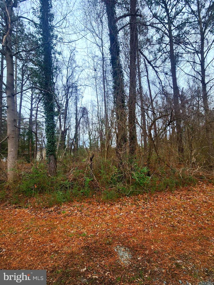 LANDSEND WEST LOT 613, LANCASTER, Virginia 22503, ,Land,For sale,LANDSEND WEST LOT 613,VALV2000948 MLS # VALV2000948 LANDSEND WEST LOT 613, LANCASTER, Virginia 22503, ,Land,For sale,LANDSEND WEST LOT 613,VALV2000948 MLS # VALV2000948