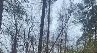 LANDSEND WEST LOT 613, LANCASTER, Virginia 22503, ,Land,For sale,LANDSEND WEST LOT 613,VALV2000948 MLS # VALV2000948