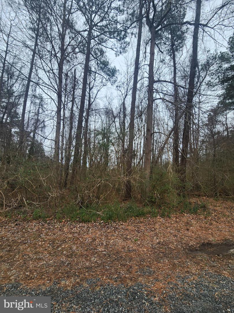 LANDSEND WEST LOT 614, LANCASTER, Virginia 22503, ,Land,For sale,LANDSEND WEST LOT 614,VALV2000950 MLS # VALV2000950 LANDSEND WEST LOT 614, LANCASTER, Virginia 22503, ,Land,For sale,LANDSEND WEST LOT 614,VALV2000950 MLS # VALV2000950