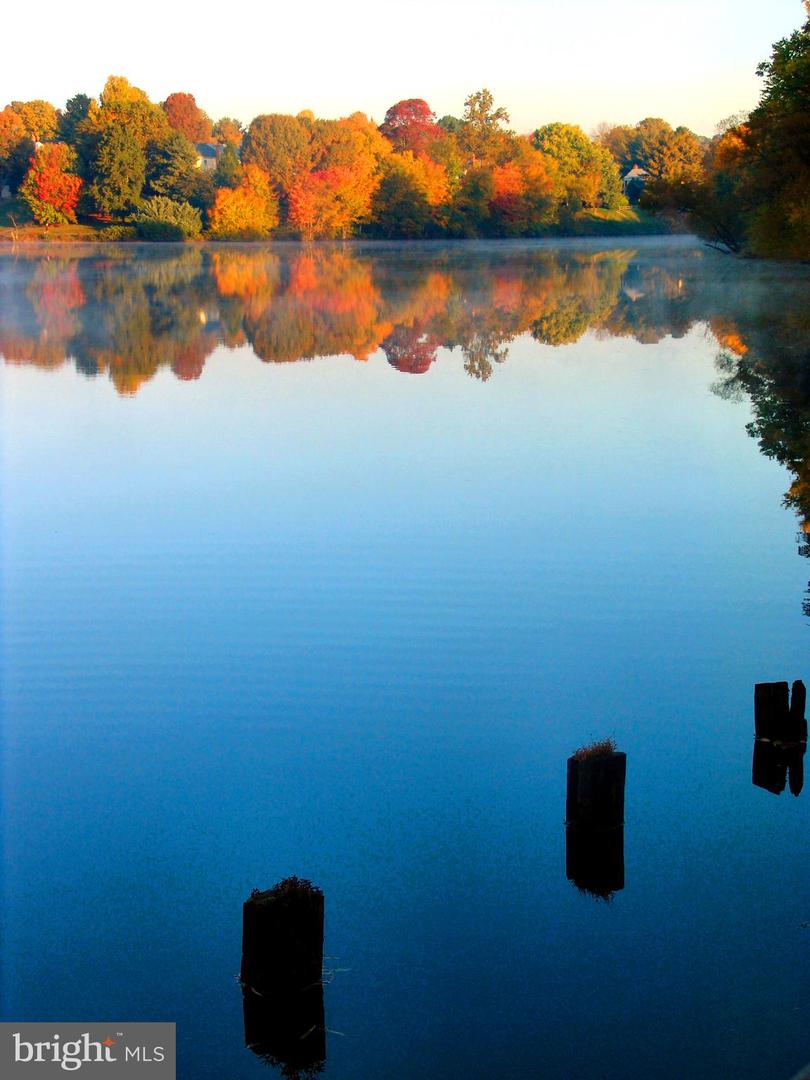 5480 LIGHTHOUSE LN, BURKE, Virginia 22015, 3 Bedrooms Bedrooms, ,2 BathroomsBathrooms,Residential,For sale,5480 LIGHTHOUSE LN,VAFX2285334 MLS # VAFX2285334 5480 LIGHTHOUSE LN, BURKE, Virginia 22015, 3 Bedrooms Bedrooms, ,2 BathroomsBathrooms,Residential,For sale,5480 LIGHTHOUSE LN,VAFX2285334 MLS # VAFX2285334