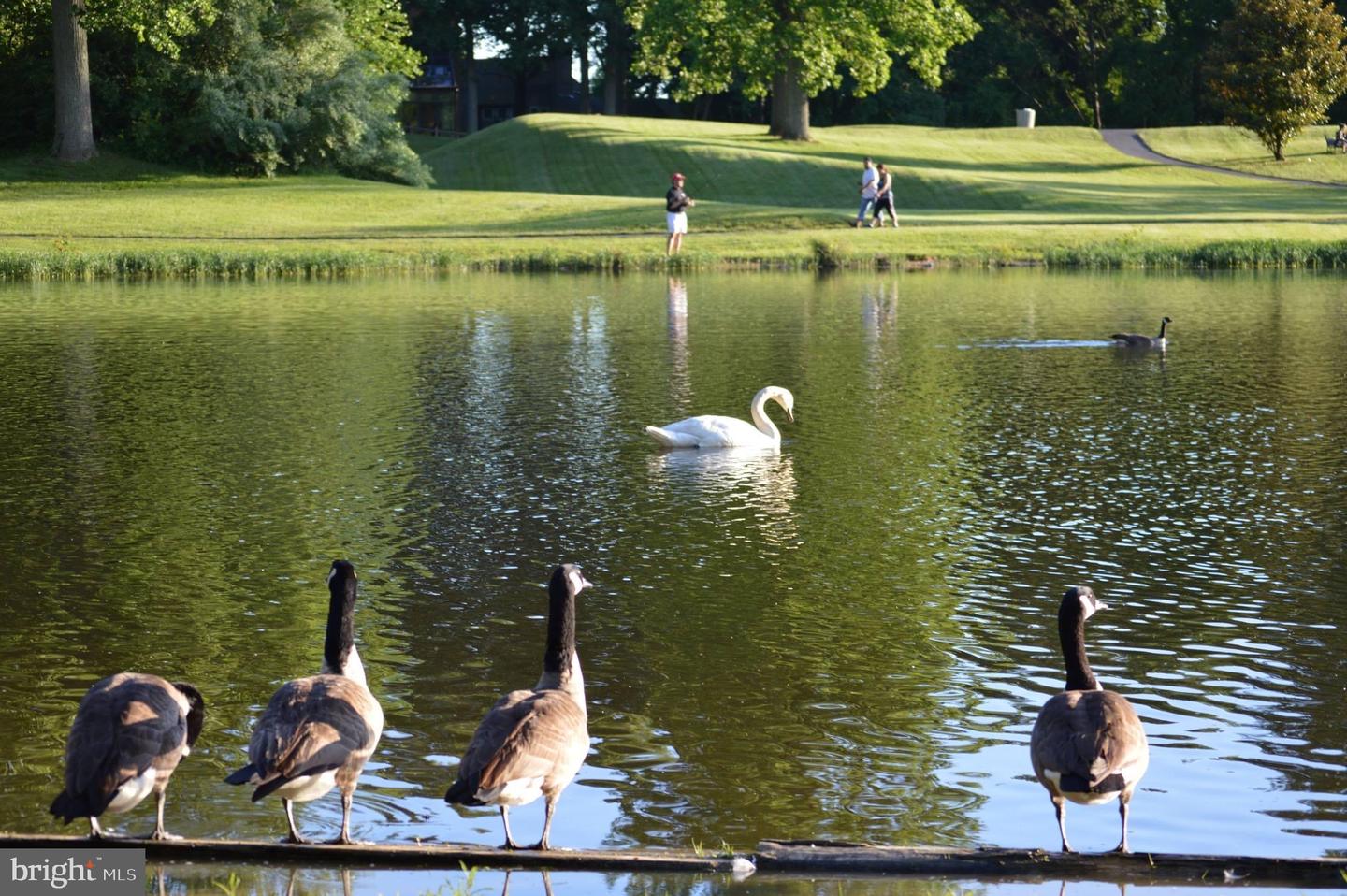 5480 LIGHTHOUSE LN, BURKE, Virginia 22015, 3 Bedrooms Bedrooms, ,2 BathroomsBathrooms,Residential,For sale,5480 LIGHTHOUSE LN,VAFX2285334 MLS # VAFX2285334 5480 LIGHTHOUSE LN, BURKE, Virginia 22015, 3 Bedrooms Bedrooms, ,2 BathroomsBathrooms,Residential,For sale,5480 LIGHTHOUSE LN,VAFX2285334 MLS # VAFX2285334