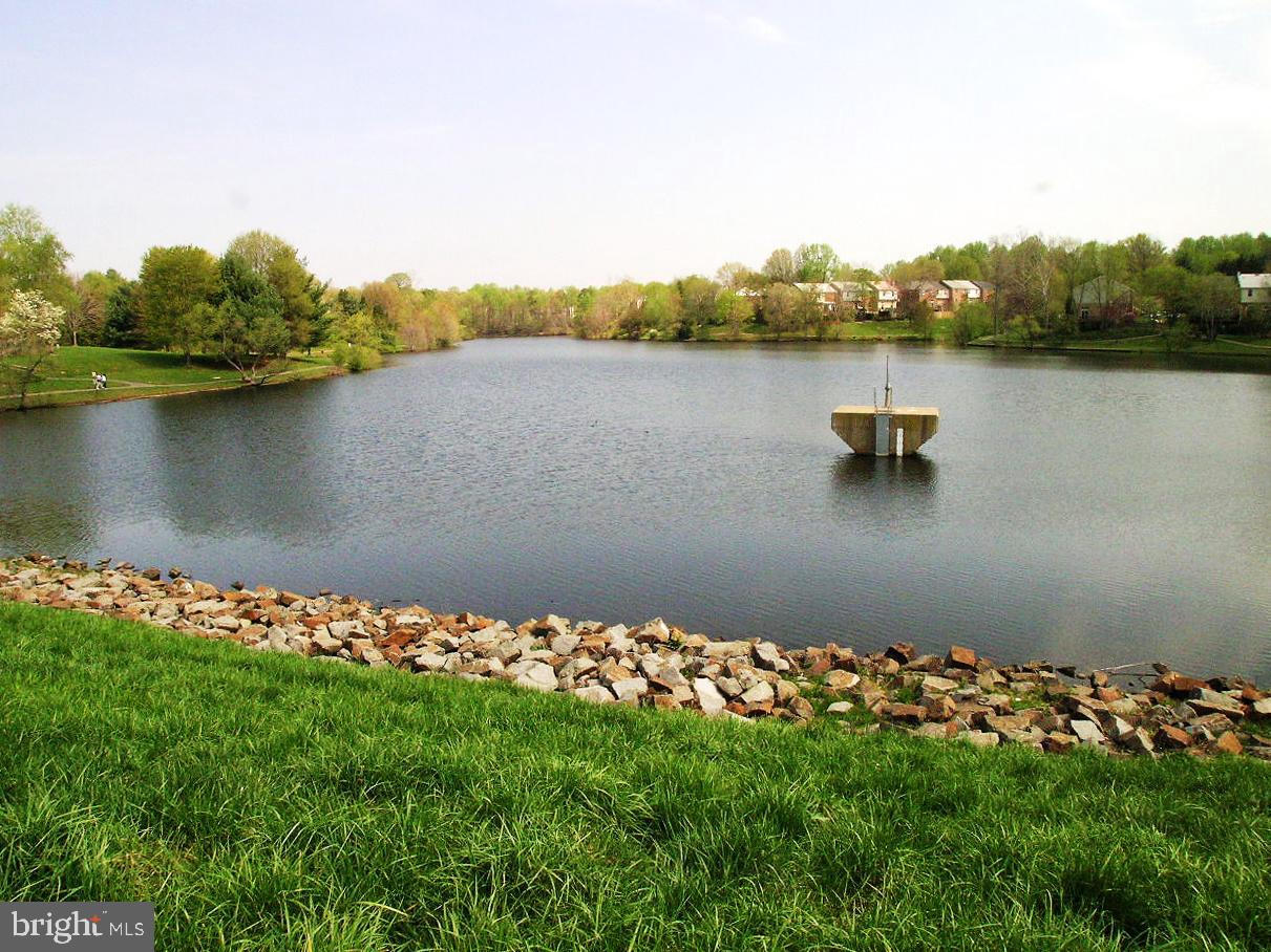 5480 LIGHTHOUSE LN, BURKE, Virginia 22015, 3 Bedrooms Bedrooms, ,2 BathroomsBathrooms,Residential,For sale,5480 LIGHTHOUSE LN,VAFX2285334 MLS # VAFX2285334 5480 LIGHTHOUSE LN, BURKE, Virginia 22015, 3 Bedrooms Bedrooms, ,2 BathroomsBathrooms,Residential,For sale,5480 LIGHTHOUSE LN,VAFX2285334 MLS # VAFX2285334