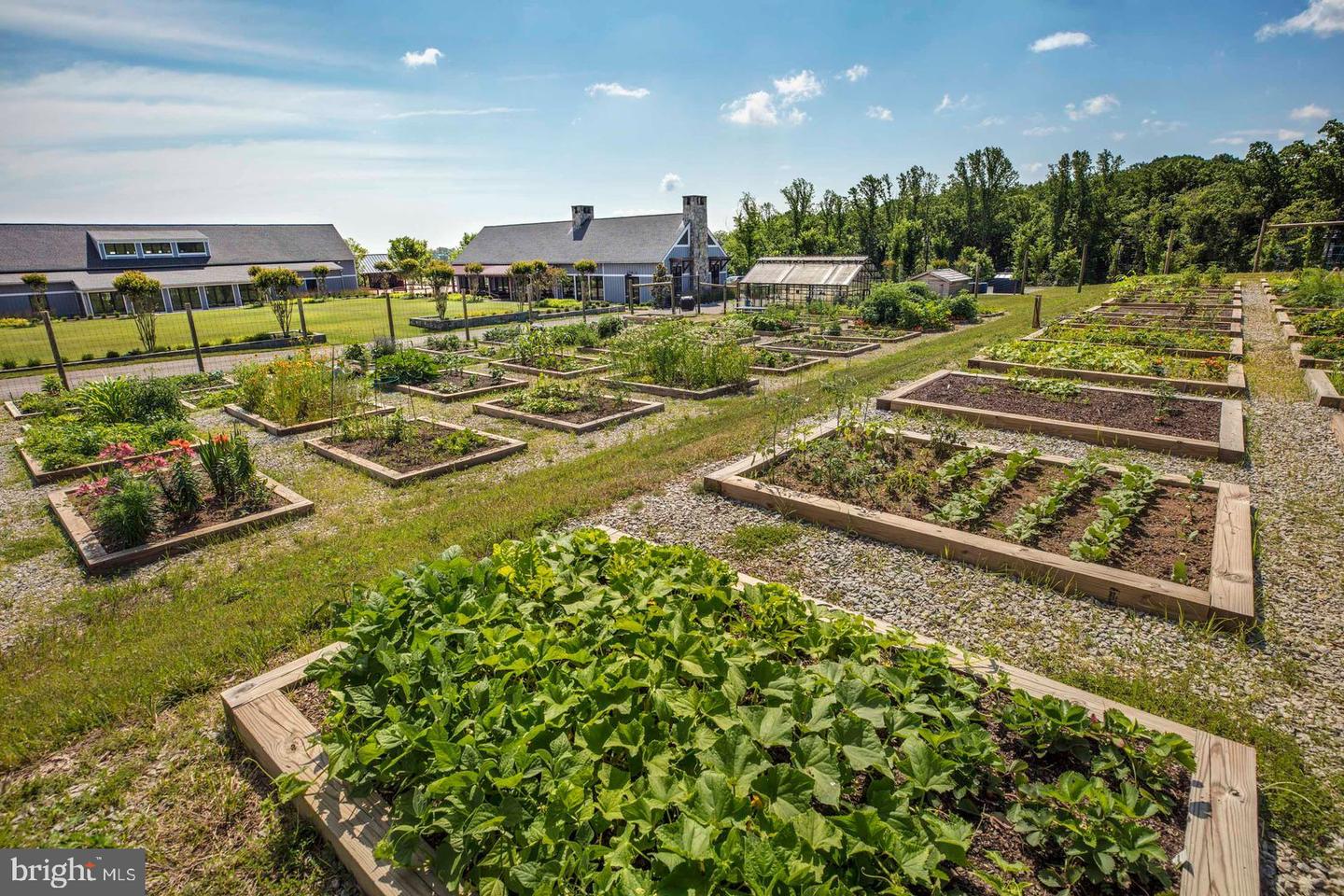 17379 HARRISON RIDGE DR, DUMFRIES, Virginia 22026, 3 Bedrooms Bedrooms, ,2 BathroomsBathrooms,Residential,For sale,17379 HARRISON RIDGE DR,VAPW2111012 MLS # VAPW2111012