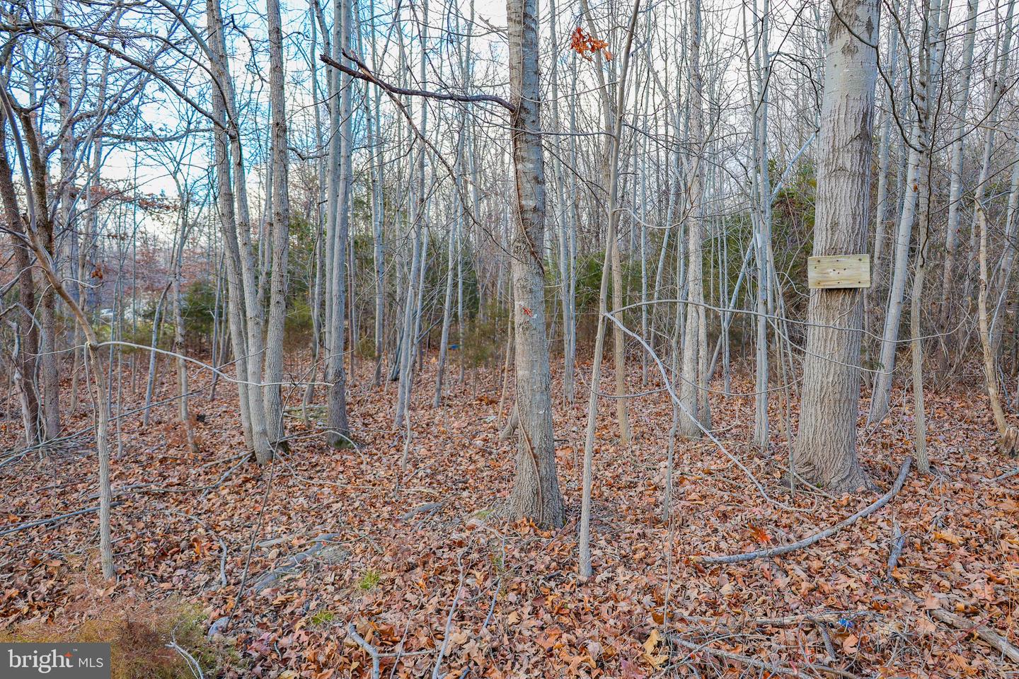 0 RIVERBEND DR, LURAY, Virginia 22835, ,Land,For sale,0 RIVERBEND DR,VAPA2005828 MLS # VAPA2005828 0 RIVERBEND DR, LURAY, Virginia 22835, ,Land,For sale,0 RIVERBEND DR,VAPA2005828 MLS # VAPA2005828