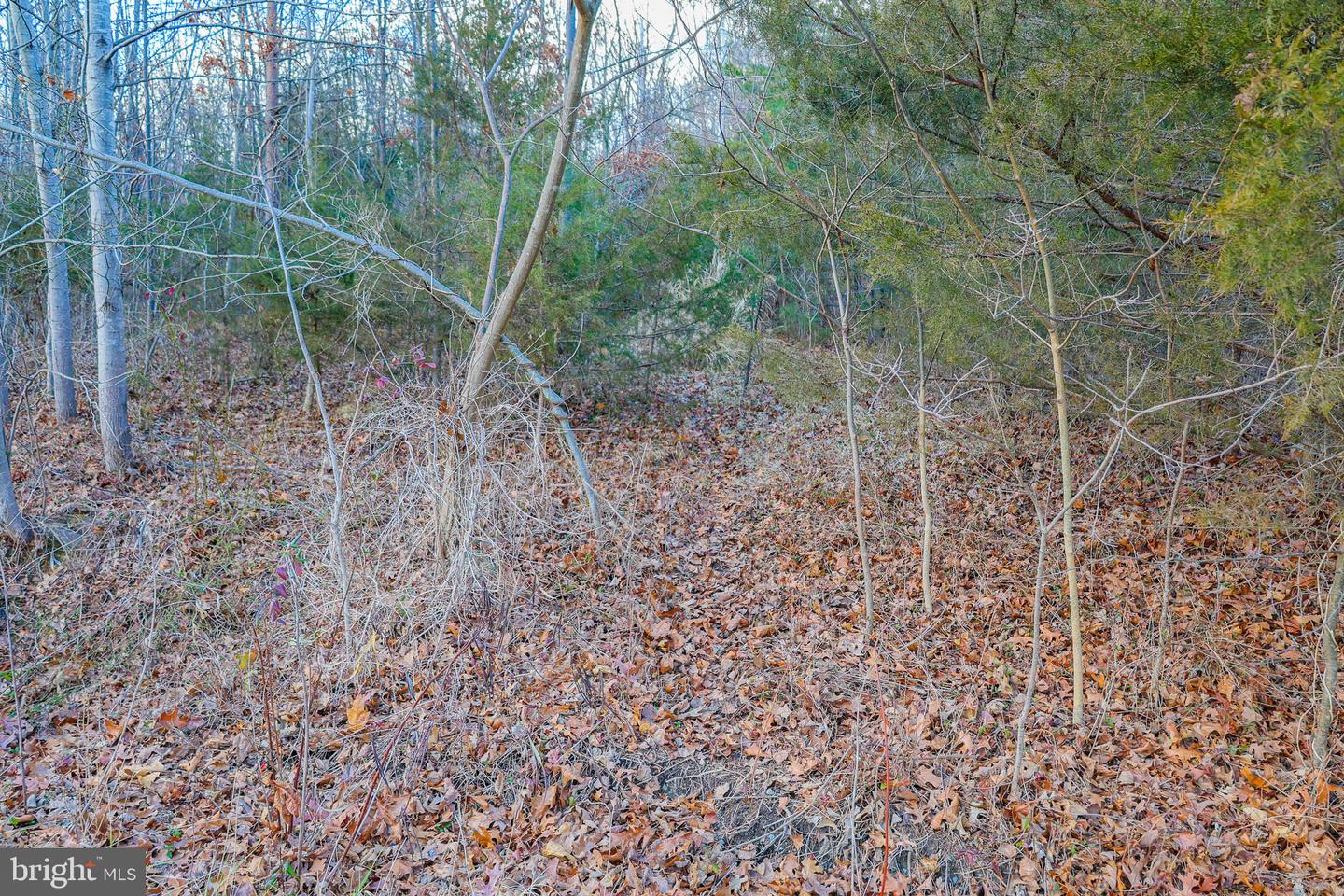 0 RIVERBEND DR, LURAY, Virginia 22835, ,Land,For sale,0 RIVERBEND DR,VAPA2005828 MLS # VAPA2005828 0 RIVERBEND DR, LURAY, Virginia 22835, ,Land,For sale,0 RIVERBEND DR,VAPA2005828 MLS # VAPA2005828