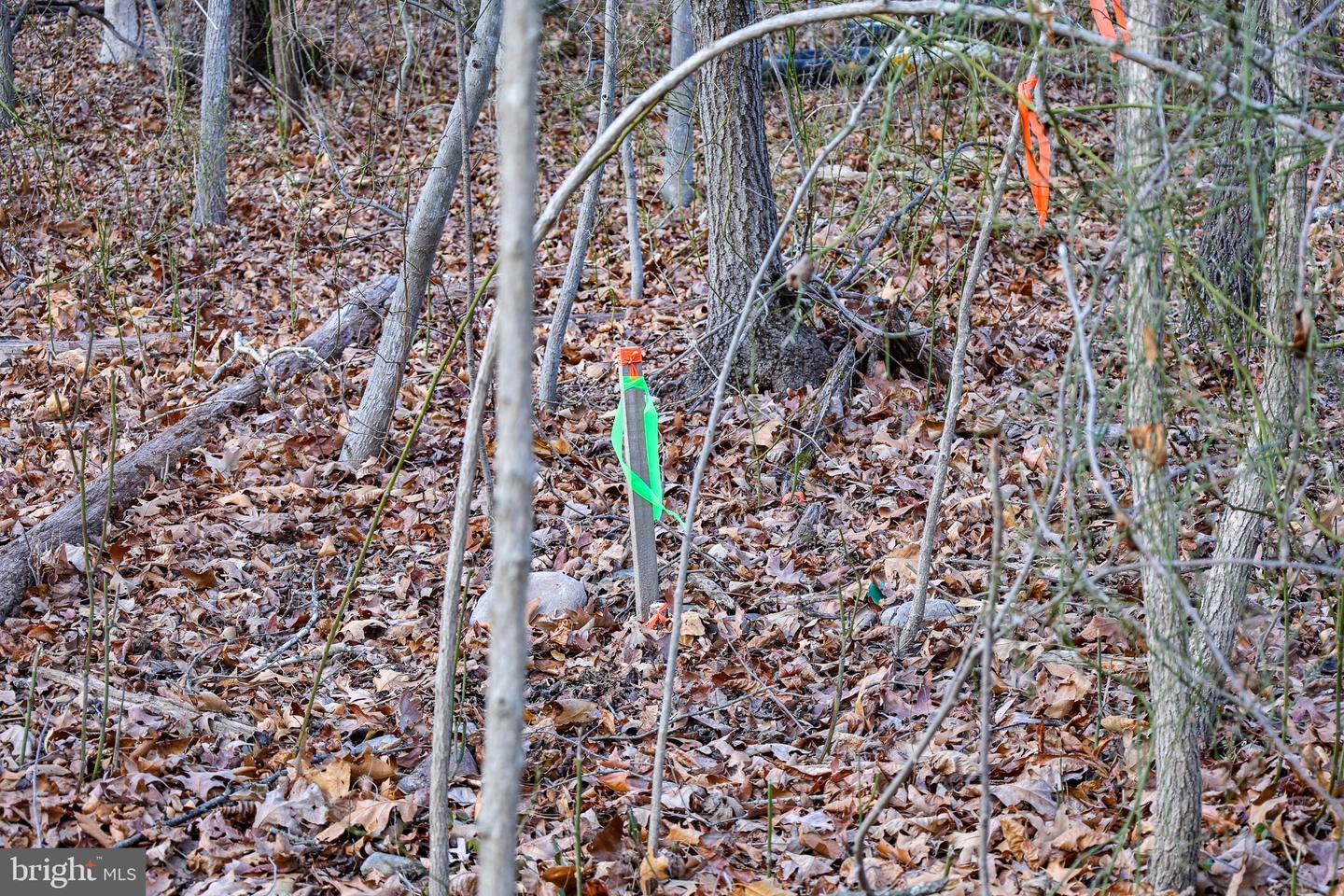 0 RIVERBEND DR, LURAY, Virginia 22835, ,Land,For sale,0 RIVERBEND DR,VAPA2005828 MLS # VAPA2005828 0 RIVERBEND DR, LURAY, Virginia 22835, ,Land,For sale,0 RIVERBEND DR,VAPA2005828 MLS # VAPA2005828