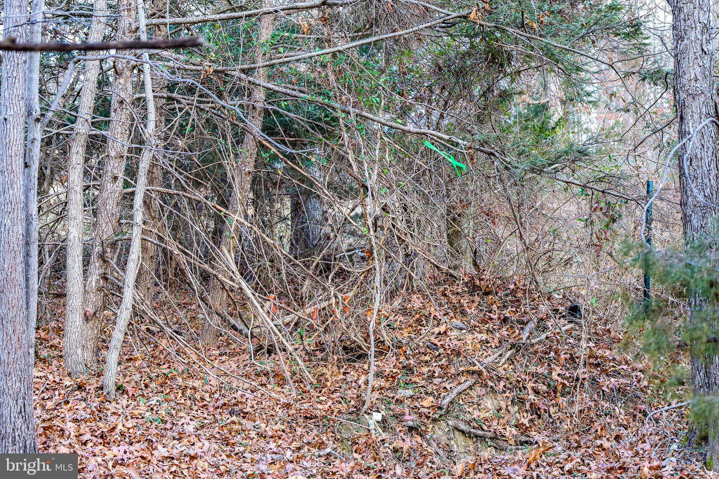 0 RIVERBEND DR, LURAY, Virginia 22835, ,Land,For sale,0 RIVERBEND DR,VAPA2005828 MLS # VAPA2005828 0 RIVERBEND DR, LURAY, Virginia 22835, ,Land,For sale,0 RIVERBEND DR,VAPA2005828 MLS # VAPA2005828