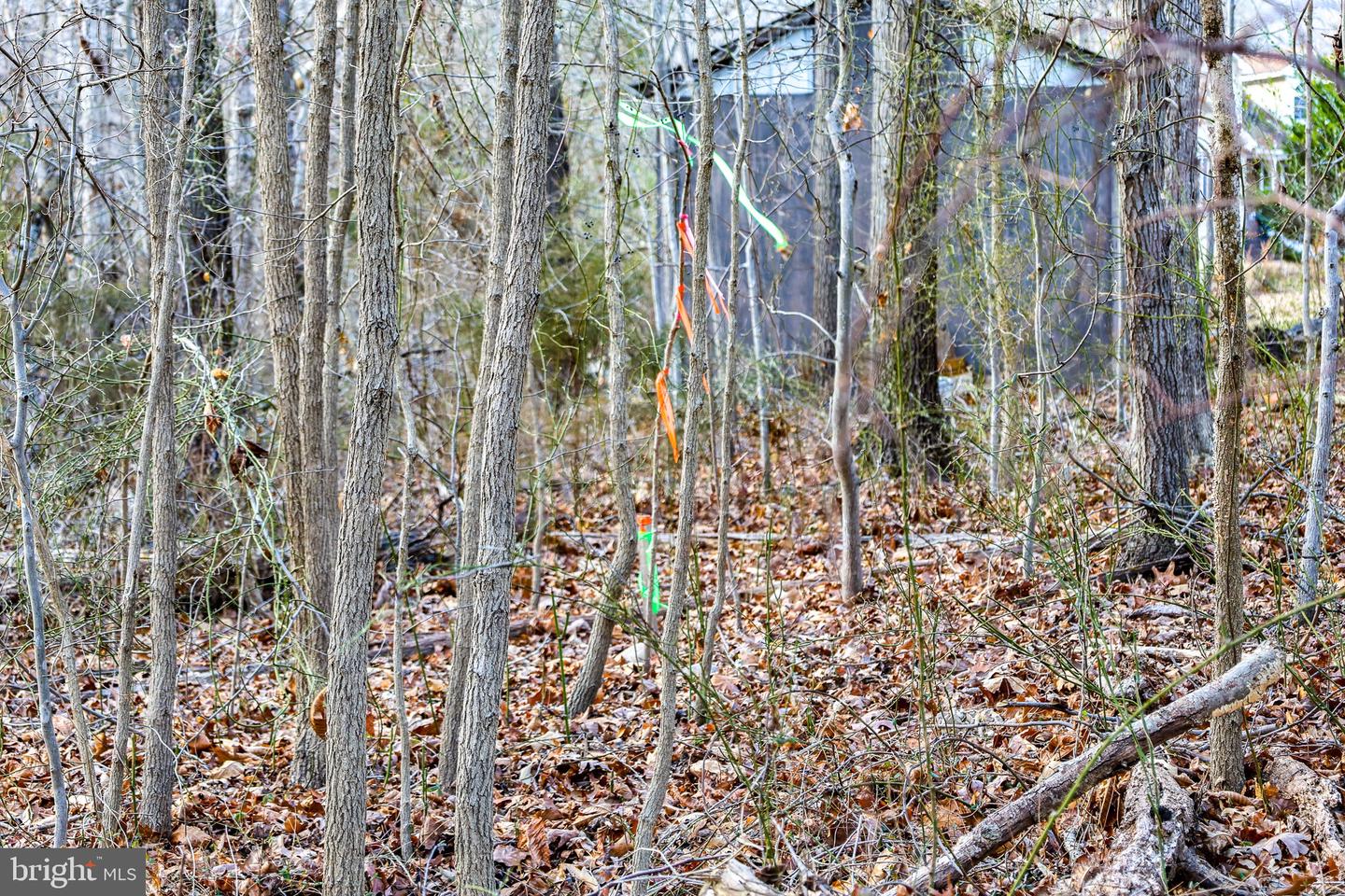 0 RIVERBEND DR, LURAY, Virginia 22835, ,Land,For sale,0 RIVERBEND DR,VAPA2005828 MLS # VAPA2005828 0 RIVERBEND DR, LURAY, Virginia 22835, ,Land,For sale,0 RIVERBEND DR,VAPA2005828 MLS # VAPA2005828