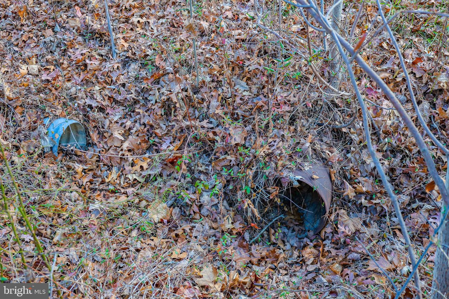 0 RIVERBEND DR, LURAY, Virginia 22835, ,Land,For sale,0 RIVERBEND DR,VAPA2005828 MLS # VAPA2005828 0 RIVERBEND DR, LURAY, Virginia 22835, ,Land,For sale,0 RIVERBEND DR,VAPA2005828 MLS # VAPA2005828