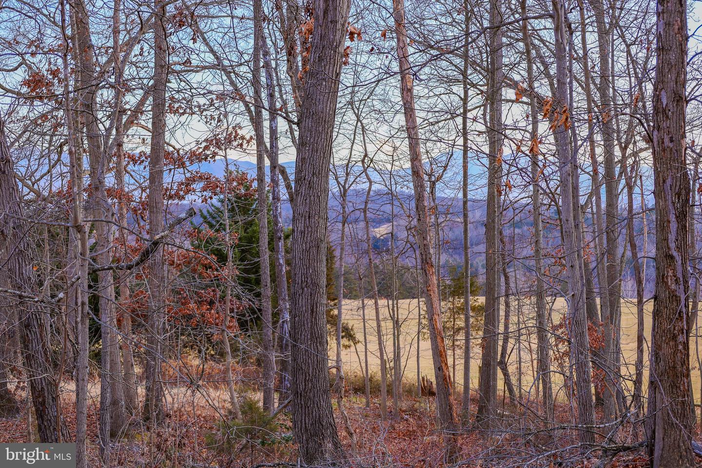 0 RIVERBEND DR, LURAY, Virginia 22835, ,Land,For sale,0 RIVERBEND DR,VAPA2005828 MLS # VAPA2005828 0 RIVERBEND DR, LURAY, Virginia 22835, ,Land,For sale,0 RIVERBEND DR,VAPA2005828 MLS # VAPA2005828