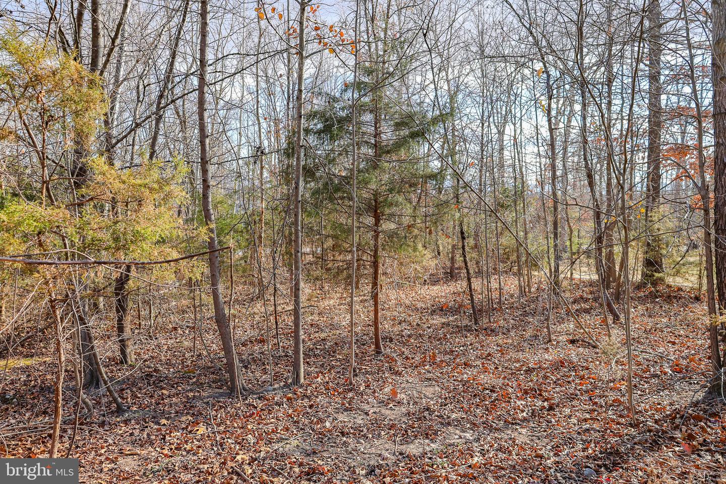 0 RIVERBEND DR, LURAY, Virginia 22835, ,Land,For sale,0 RIVERBEND DR,VAPA2005828 MLS # VAPA2005828 0 RIVERBEND DR, LURAY, Virginia 22835, ,Land,For sale,0 RIVERBEND DR,VAPA2005828 MLS # VAPA2005828