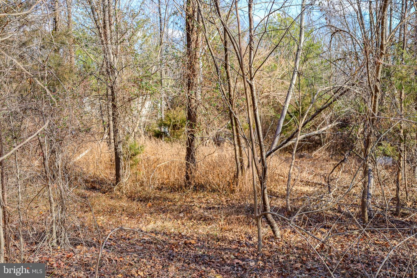 0 RIVERBEND DR, LURAY, Virginia 22835, ,Land,For sale,0 RIVERBEND DR,VAPA2005828 MLS # VAPA2005828 0 RIVERBEND DR, LURAY, Virginia 22835, ,Land,For sale,0 RIVERBEND DR,VAPA2005828 MLS # VAPA2005828