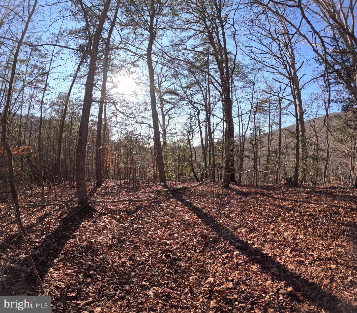00 MENDOTA RD, MENDOTA, Virginia 24270, ,Land,For sale,00 MENDOTA RD,VAWA2000016 MLS # VAWA2000016 00 MENDOTA RD, MENDOTA, Virginia 24270, ,Land,For sale,00 MENDOTA RD,VAWA2000016 MLS # VAWA2000016