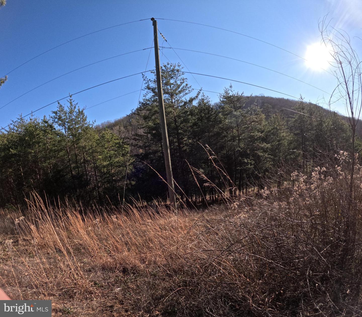 00 MENDOTA RD, MENDOTA, Virginia 24270, ,Land,For sale,00 MENDOTA RD,VAWA2000016 MLS # VAWA2000016 00 MENDOTA RD, MENDOTA, Virginia 24270, ,Land,For sale,00 MENDOTA RD,VAWA2000016 MLS # VAWA2000016