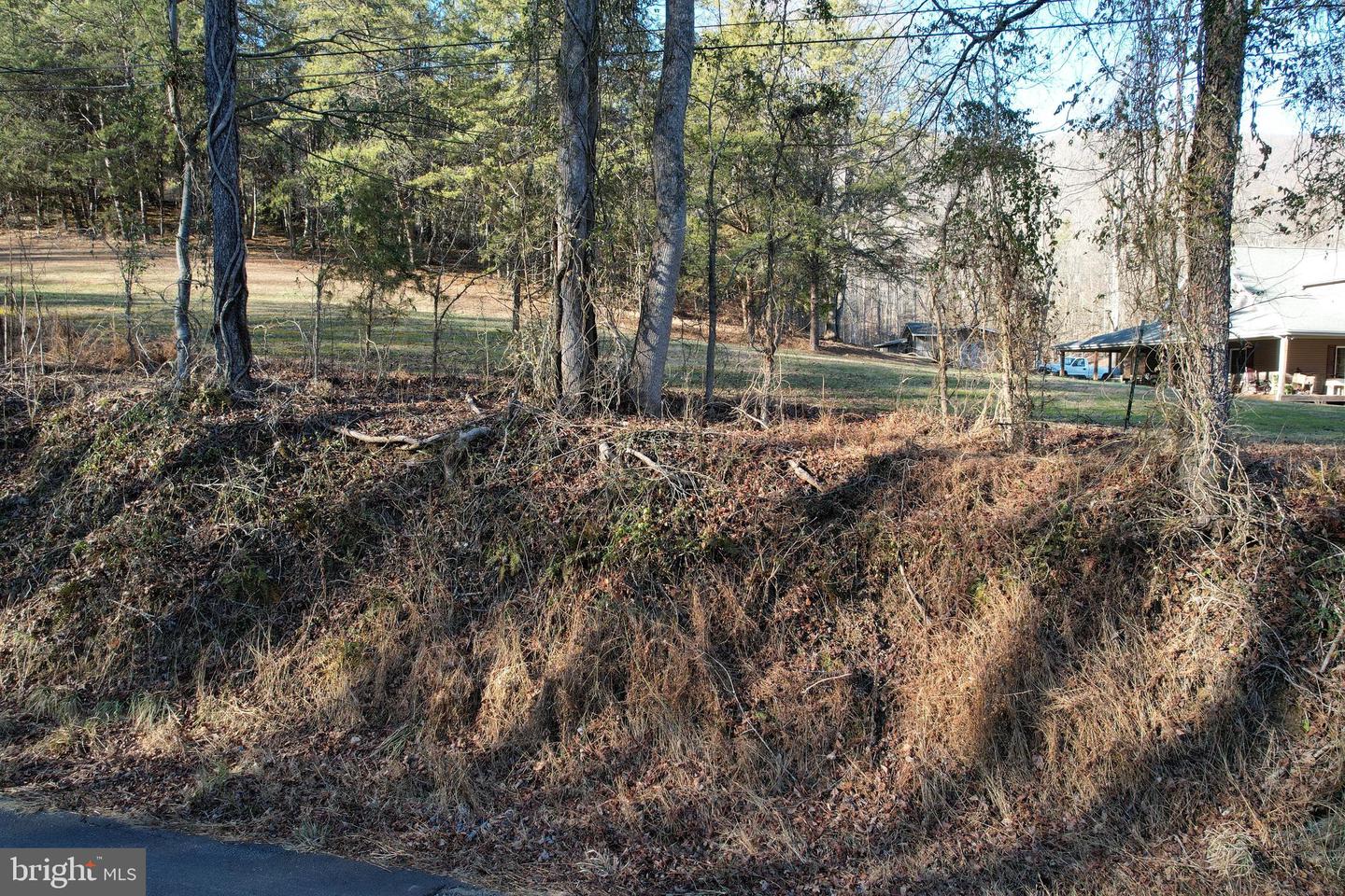 00 MENDOTA RD, MENDOTA, Virginia 24270, ,Land,For sale,00 MENDOTA RD,VAWA2000016 MLS # VAWA2000016 00 MENDOTA RD, MENDOTA, Virginia 24270, ,Land,For sale,00 MENDOTA RD,VAWA2000016 MLS # VAWA2000016