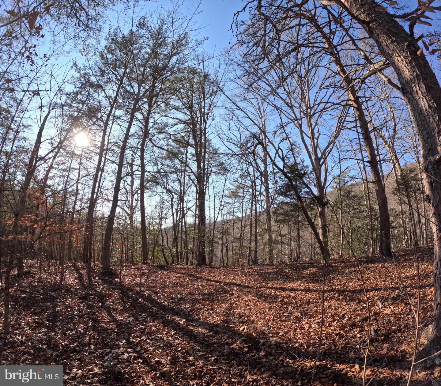 00 MENDOTA RD, MENDOTA, Virginia 24270, ,Land,For sale,00 MENDOTA RD,VAWA2000016 MLS # VAWA2000016 00 MENDOTA RD, MENDOTA, Virginia 24270, ,Land,For sale,00 MENDOTA RD,VAWA2000016 MLS # VAWA2000016