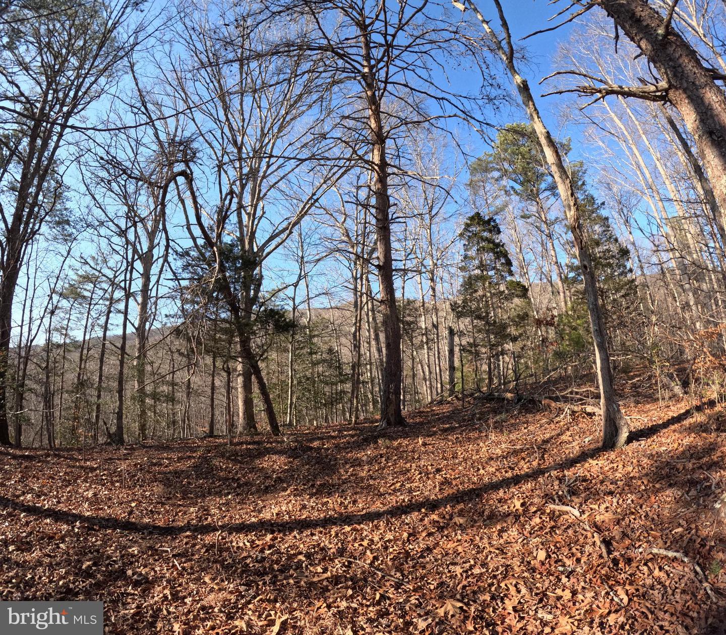 00 MENDOTA RD, MENDOTA, Virginia 24270, ,Land,For sale,00 MENDOTA RD,VAWA2000016 MLS # VAWA2000016 00 MENDOTA RD, MENDOTA, Virginia 24270, ,Land,For sale,00 MENDOTA RD,VAWA2000016 MLS # VAWA2000016