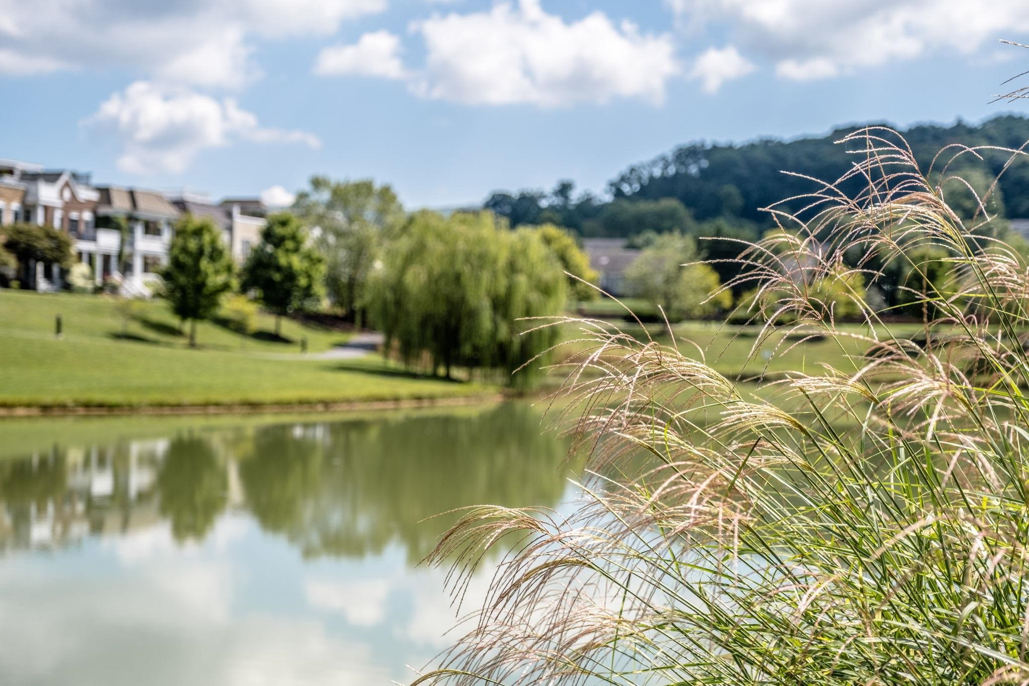 3144 PRESTON LAKE BLVD, ROCKINGHAM, Virginia 22801, 3 Bedrooms Bedrooms, ,3 BathroomsBathrooms,Residential,3144 PRESTON LAKE BLVD,672739 MLS # 672739