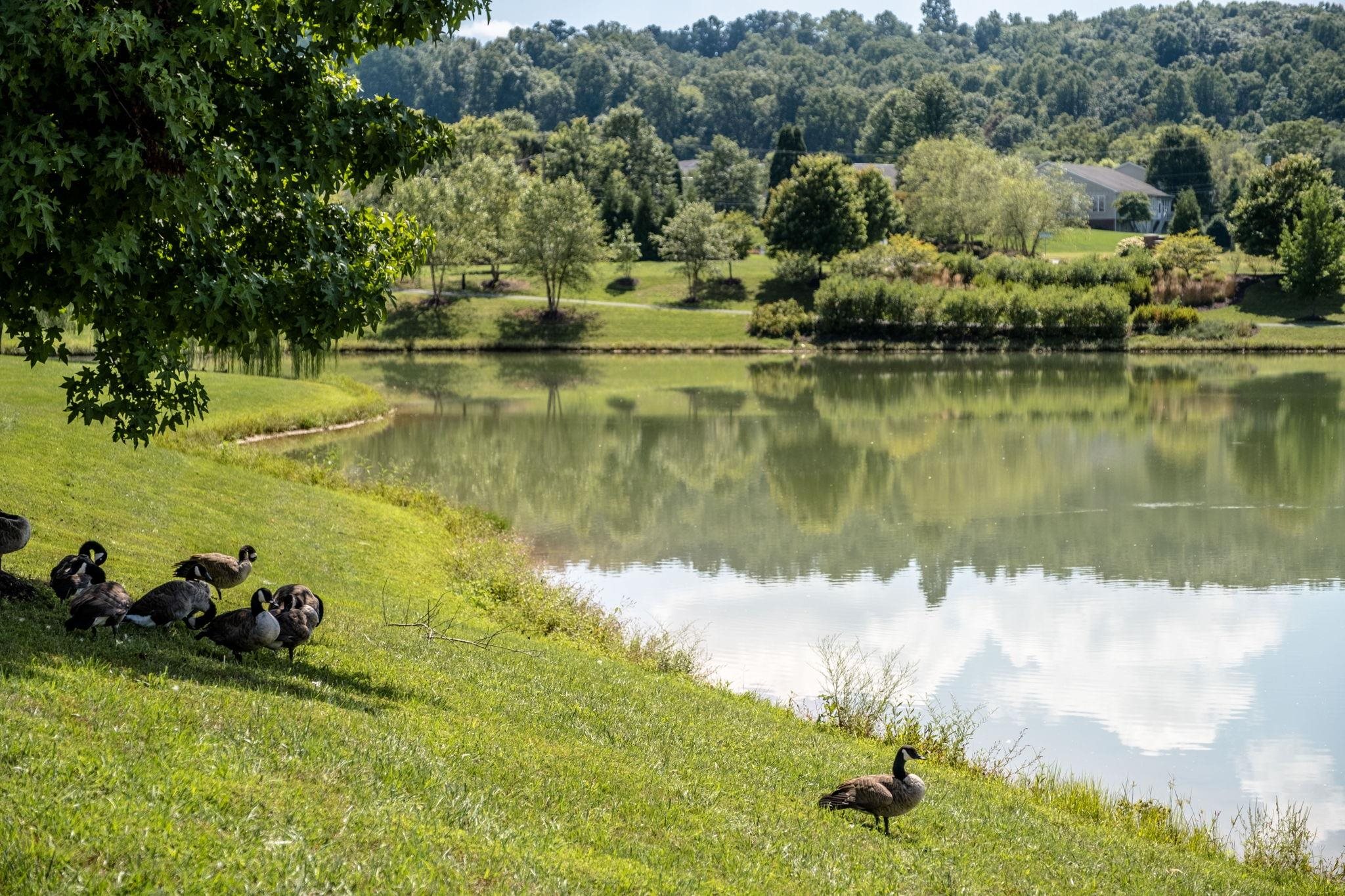 3144 PRESTON LAKE BLVD, ROCKINGHAM, Virginia 22801, 3 Bedrooms Bedrooms, ,3 BathroomsBathrooms,Residential,3144 PRESTON LAKE BLVD,672739 MLS # 672739