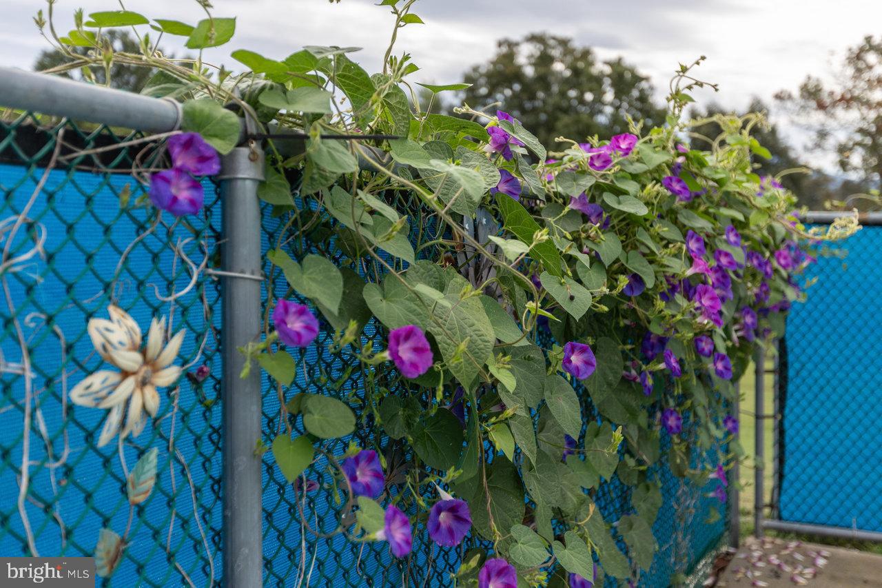 1 ROWE DR, LURAY, Virginia 22835, 3 Bedrooms Bedrooms, 10 Rooms Rooms,2 BathroomsBathrooms,Residential,For sale,1 ROWE DR,VAPA2005432 MLS # VAPA2005432