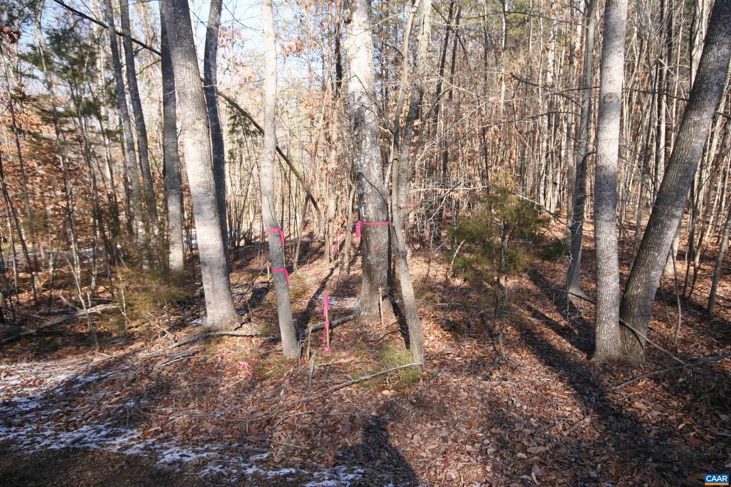 TBA SLATE RIVER MILL RD #2.002 AC., BUCKINGHAM, Virginia 23921, ,Land,For sale,TBA SLATE RIVER MILL RD #2.002 AC.,672715 MLS # 672715