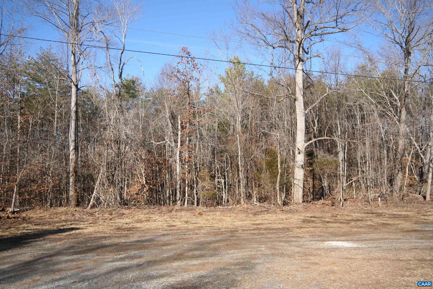 TBA SLATE RIVER MILL RD #2.002 AC., BUCKINGHAM, Virginia 23921, ,Land,For sale,TBA SLATE RIVER MILL RD #2.002 AC.,672715 MLS # 672715