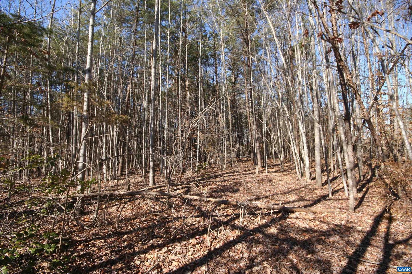 TBA SLATE RIVER MILL RD #2.002 AC., BUCKINGHAM, Virginia 23921, ,Land,For sale,TBA SLATE RIVER MILL RD #2.002 AC.,672715 MLS # 672715