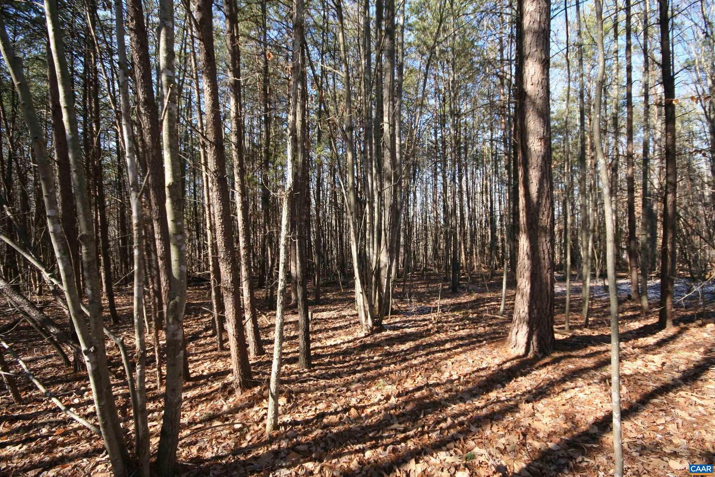 TBA SLATE RIVER MILL RD #2.002 AC., BUCKINGHAM, Virginia 23921, ,Land,For sale,TBA SLATE RIVER MILL RD #2.002 AC.,672715 MLS # 672715