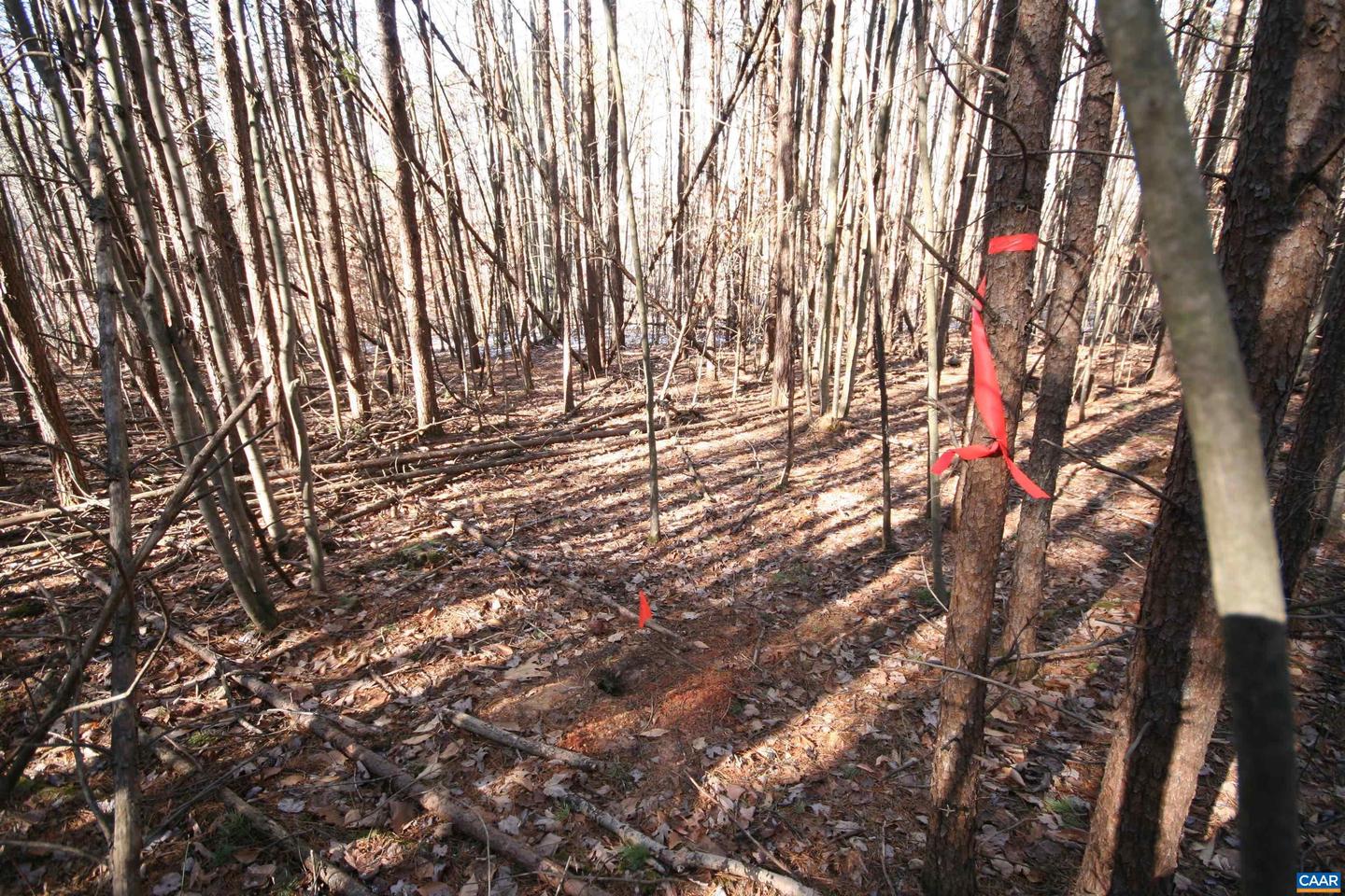 TBA SLATE RIVER MILL RD #2.002 AC., BUCKINGHAM, Virginia 23921, ,Land,For sale,TBA SLATE RIVER MILL RD #2.002 AC.,672715 MLS # 672715