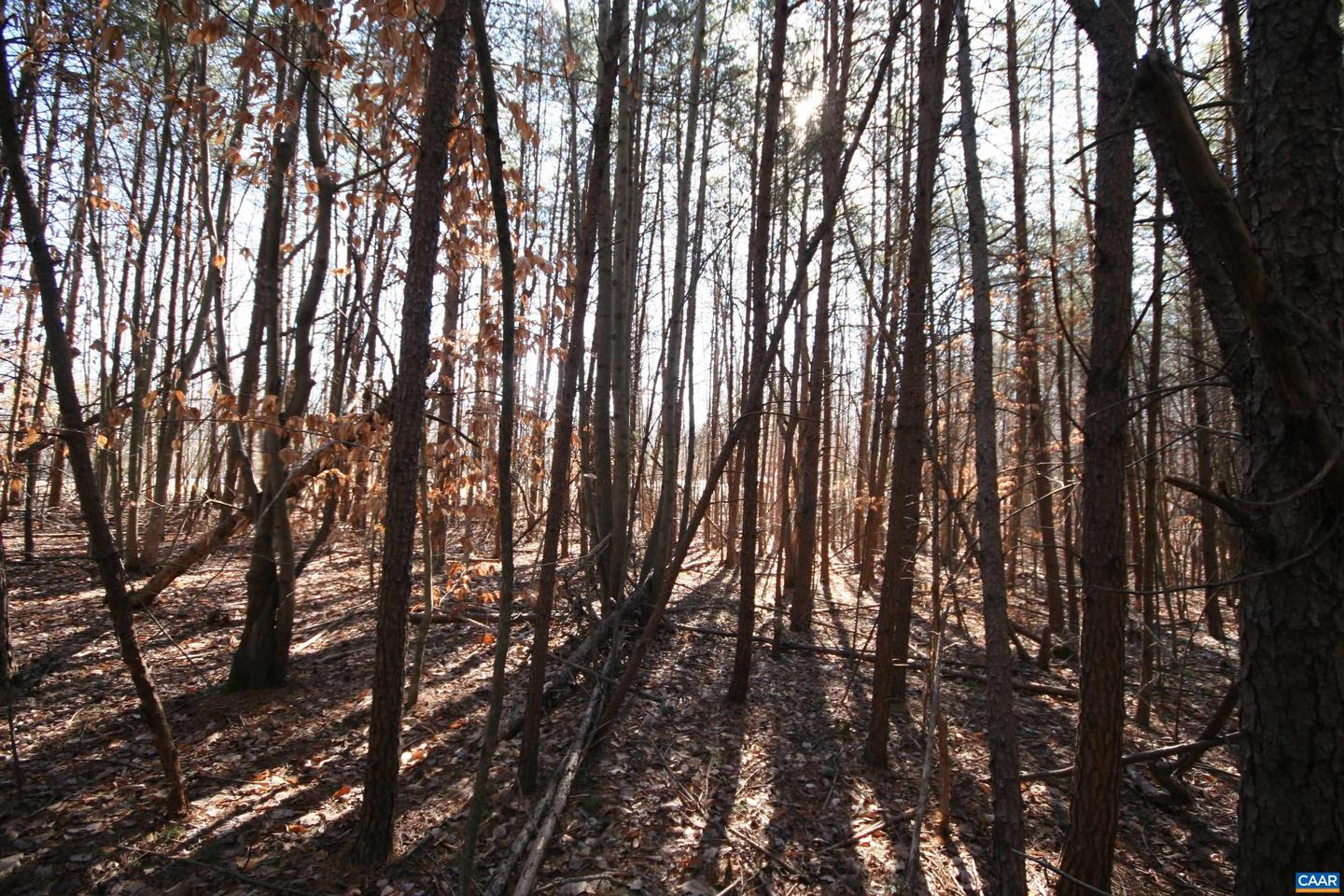 TBA SLATE RIVER MILL RD #2.002 AC., BUCKINGHAM, Virginia 23921, ,Land,For sale,TBA SLATE RIVER MILL RD #2.002 AC.,672715 MLS # 672715