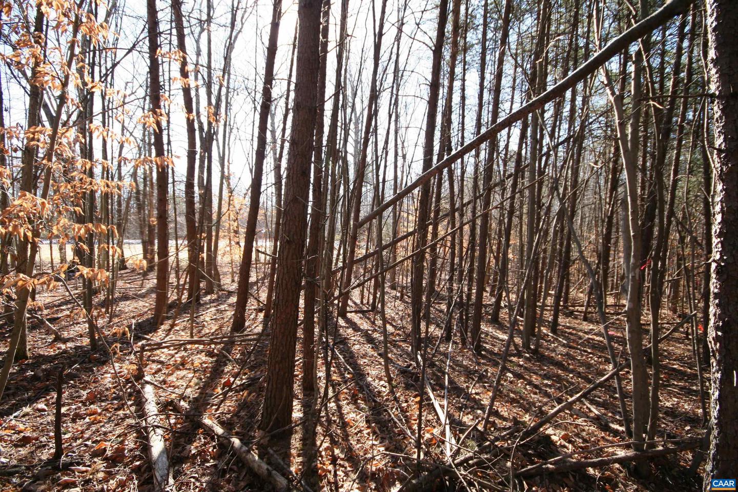 TBA SLATE RIVER MILL RD #2.002 AC., BUCKINGHAM, Virginia 23921, ,Land,For sale,TBA SLATE RIVER MILL RD #2.002 AC.,672715 MLS # 672715