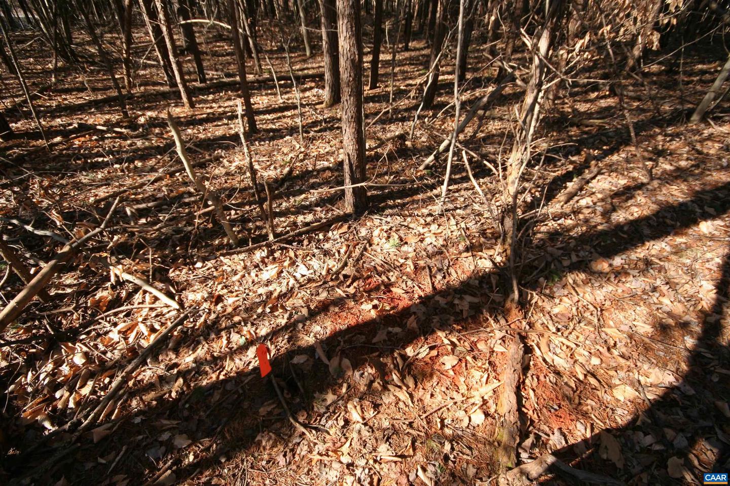 TBA SLATE RIVER MILL RD #2.002 AC., BUCKINGHAM, Virginia 23921, ,Land,For sale,TBA SLATE RIVER MILL RD #2.002 AC.,672715 MLS # 672715