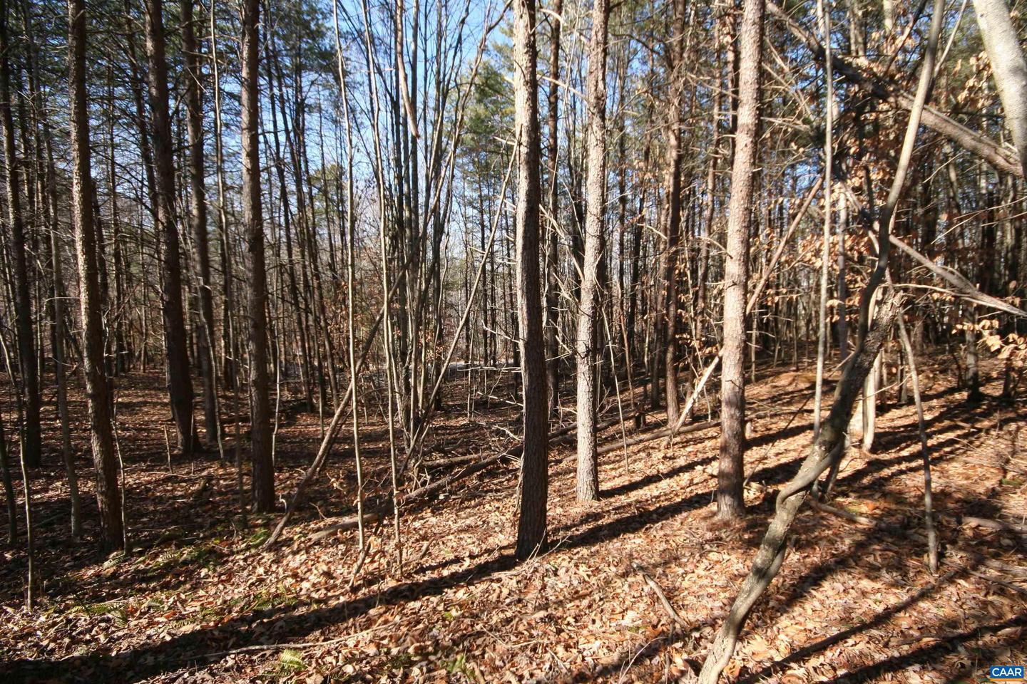TBA SLATE RIVER MILL RD #2.002 AC., BUCKINGHAM, Virginia 23921, ,Land,For sale,TBA SLATE RIVER MILL RD #2.002 AC.,672715 MLS # 672715