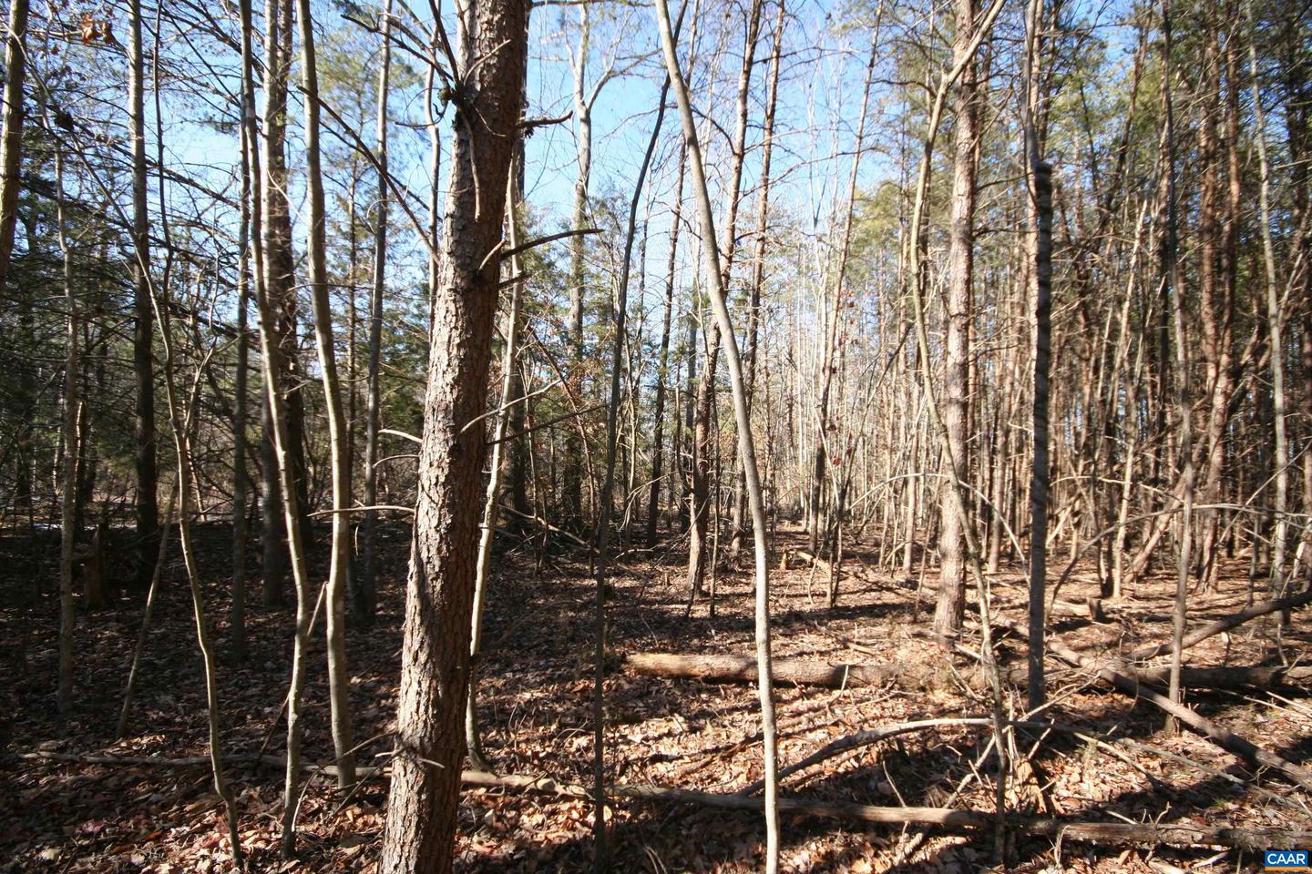 TBA SLATE RIVER MILL RD #2.17 AC. SLATE RIVER, BUCKINGHAM, Virginia 23921, ,Land,For sale,TBA SLATE RIVER MILL RD #2.17 AC. SLATE RIVER,672716 MLS # 672716