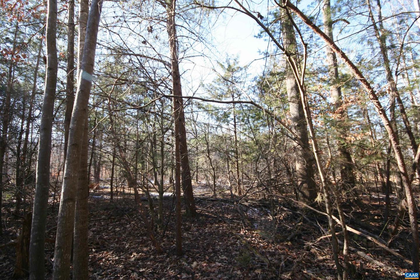 TBA SLATE RIVER MILL RD #2.17 AC. SLATE RIVER, BUCKINGHAM, Virginia 23921, ,Land,For sale,TBA SLATE RIVER MILL RD #2.17 AC. SLATE RIVER,672716 MLS # 672716