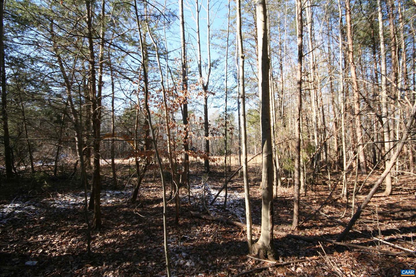 TBA SLATE RIVER MILL RD #2.17 AC. SLATE RIVER, BUCKINGHAM, Virginia 23921, ,Land,For sale,TBA SLATE RIVER MILL RD #2.17 AC. SLATE RIVER,672716 MLS # 672716